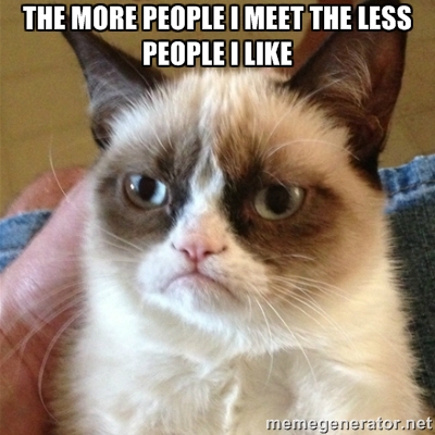 Grumpy Cat: The more people I meet, the less I like people.